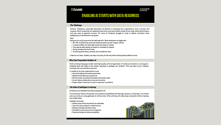 AI Readiness Overview