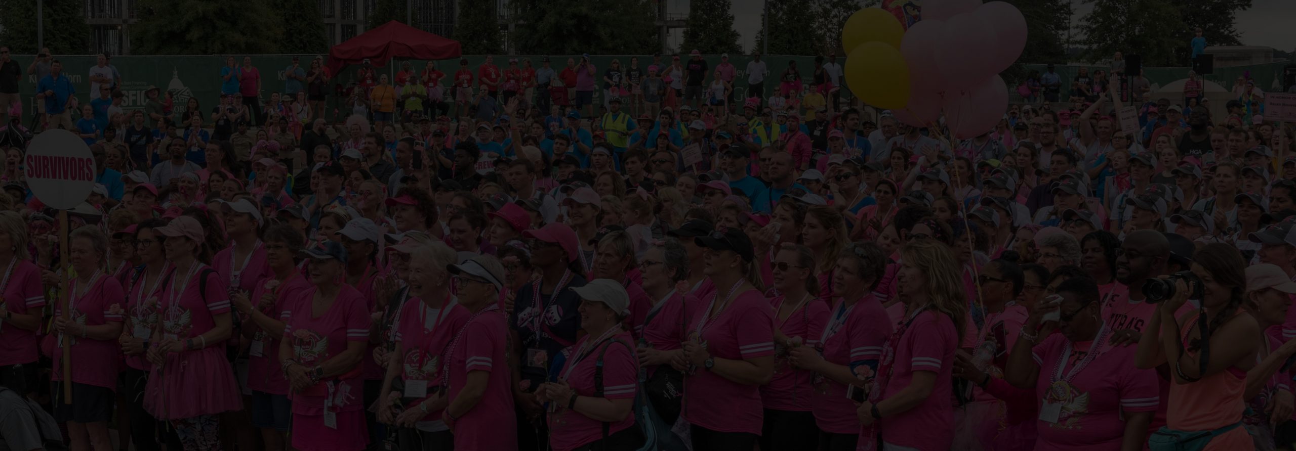 Walking for a Weekend, Supporting Breast Cancer Research for the Long-Term