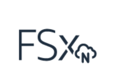 FSx logo