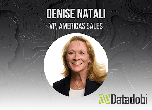 Denise Natali - VP, Americas Sales