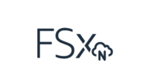 FSx logo