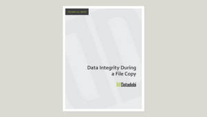 Data Integrity During a File Copy